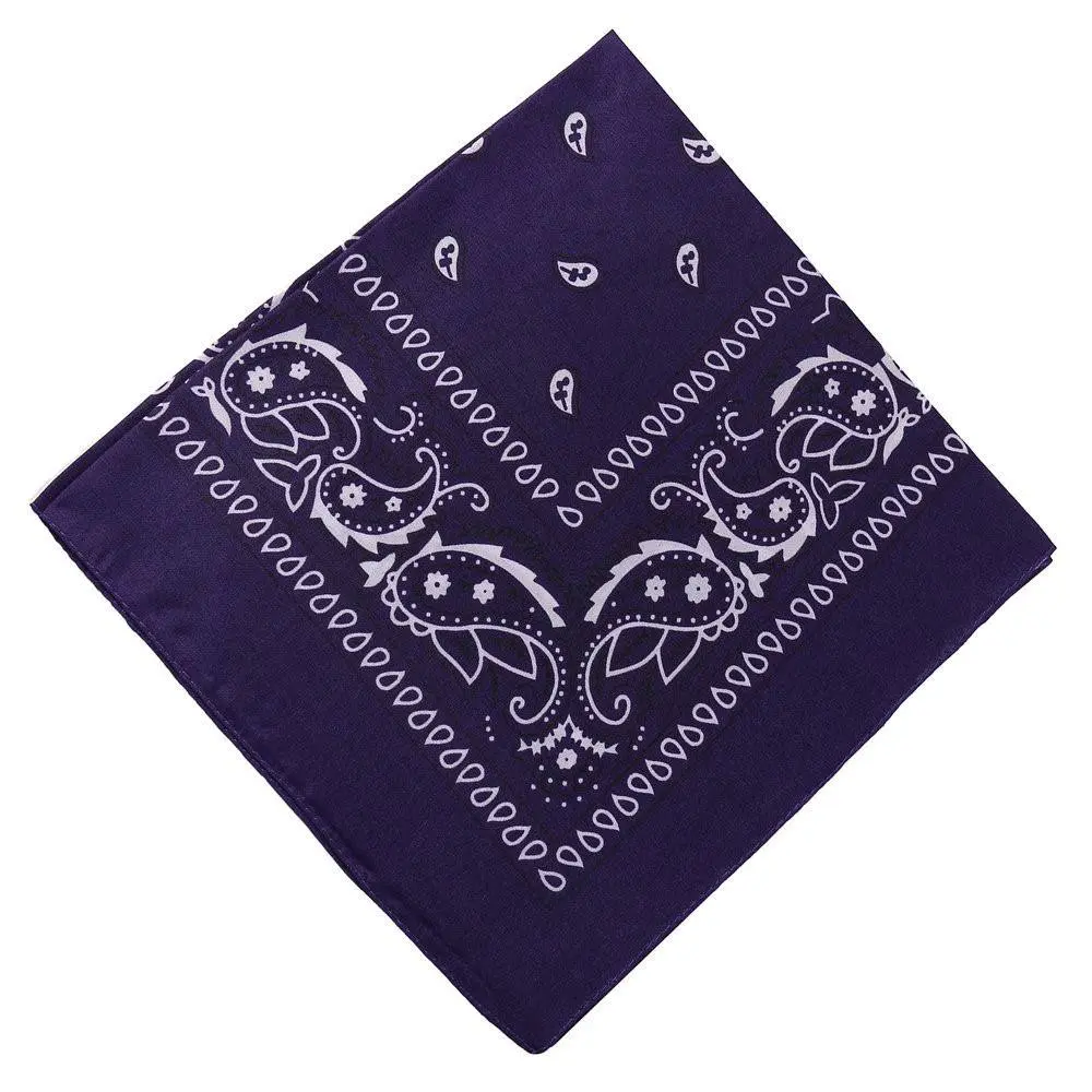 Deep_Blue_Paisley_Bandana