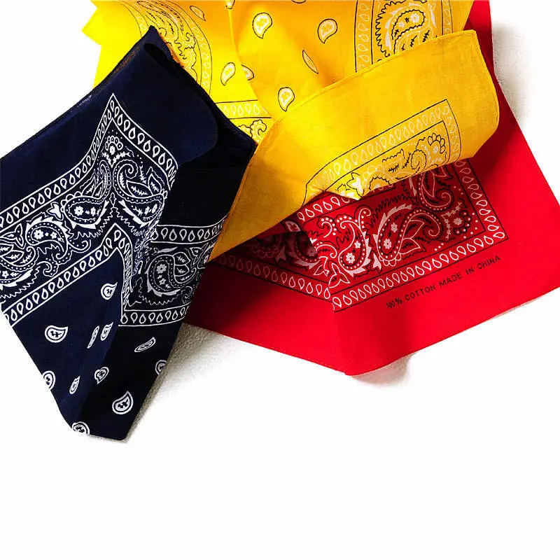 Paisley_Bandana_detail-3