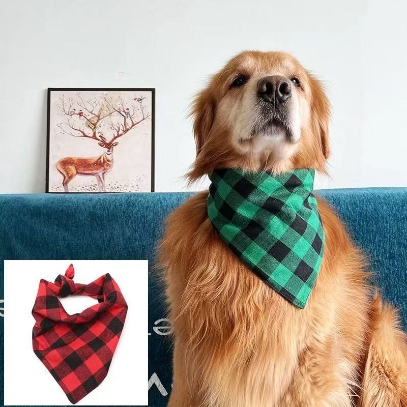 how to tie bandana on small dog