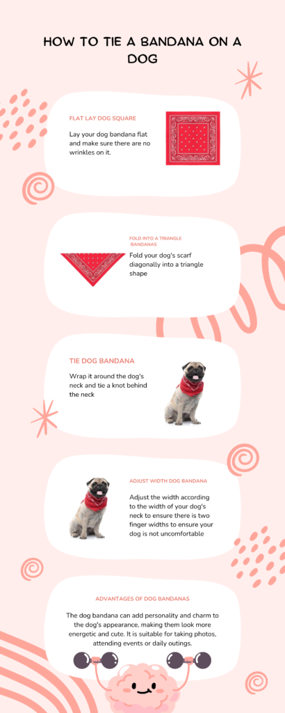 how to tie a bandana on a dog 1
