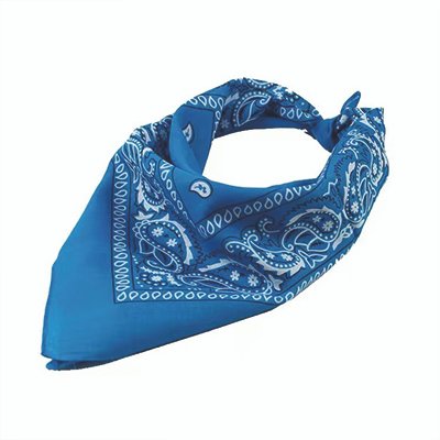 print blue bandana