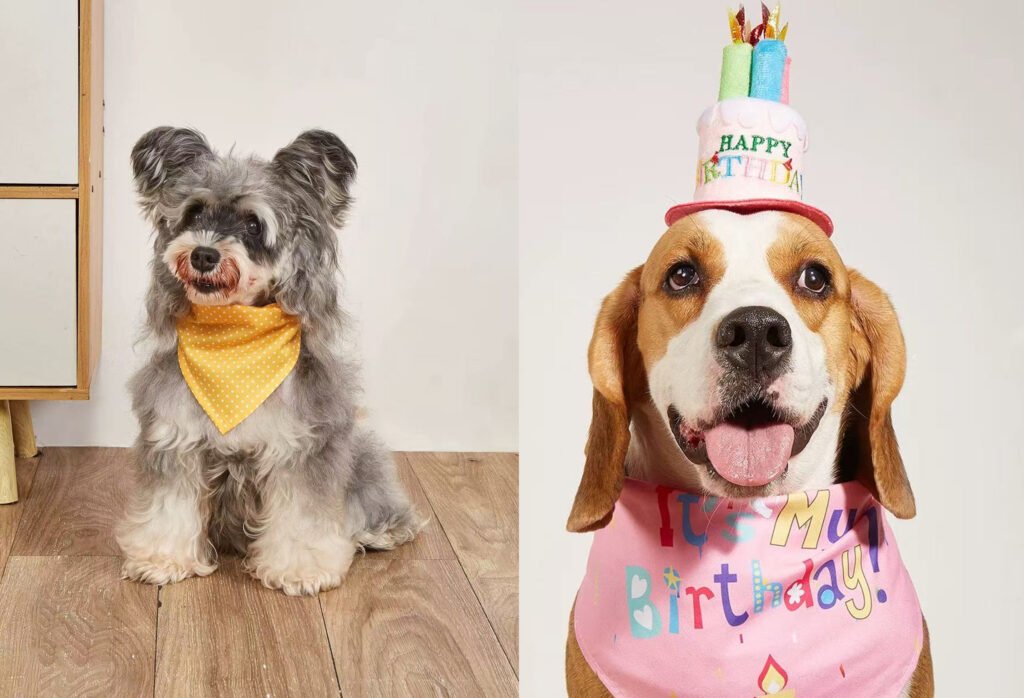 The Ultimate Guide to the Perfect Dog Birthday Bandana: Make Your Pup’s Special Day Unforgettable 3 EE550064087403D0FF83EF8961F45655