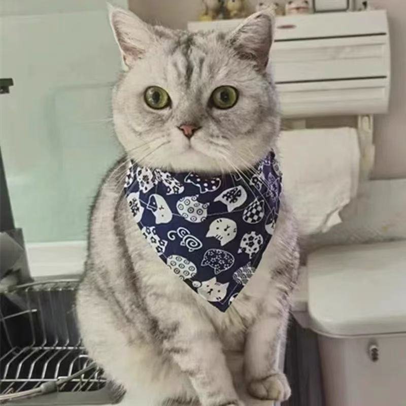 The Ultimate Cat with Bandana Guide: How to Safely Style Your Bandana Kitty 1 微信图片 20251203153948 706 10