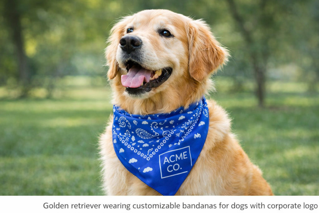 The Ultimate Guide to Ordering Customizable Bandanas in Bulk for Corporate Events 3 image 23